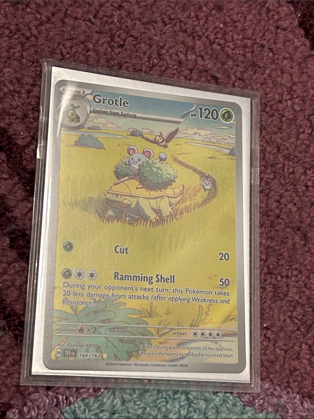 Pokemon Grotle Holo Card - Green, Yellow